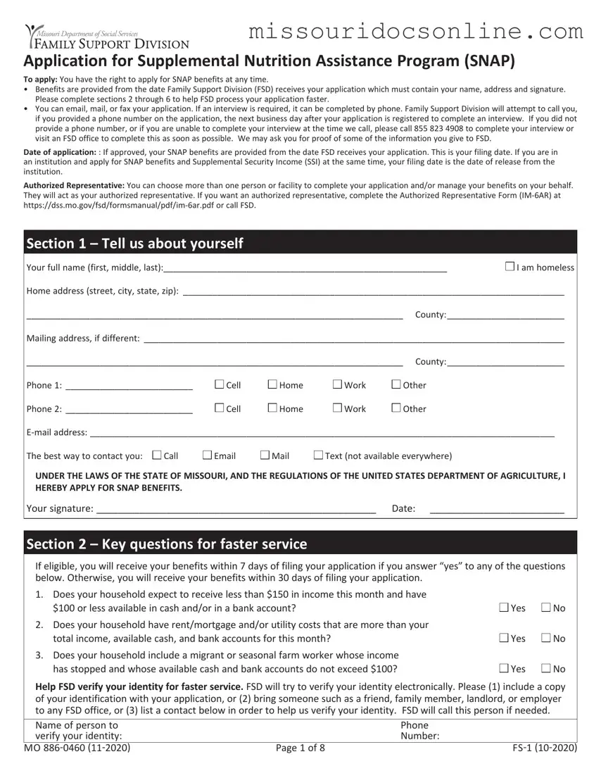 Blank Apply For Food Stamps In Missouri Form