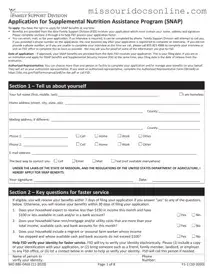 Blank Apply For Food Stamps In Missouri Form