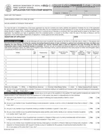 Blank Food Stamps Missouri Form